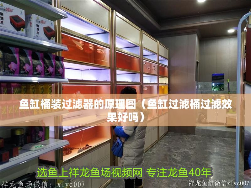 魚缸桶裝過濾器的原理圖（魚缸過濾桶過濾效果好嗎）
