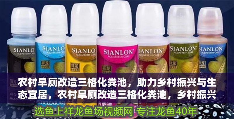 農村旱廁改造三格化糞池，助力鄉村振興與生態宜居，農村旱廁改造三格化糞池，鄉村振興與生態宜居的雙贏實踐 農村旱廁改造三格化糞池，助力鄉村振興與生態宜居，農村旱廁改造三格化糞池，鄉村振興與生態宜居的雙贏實踐 龍魚百科 第1張