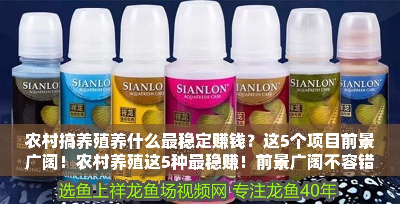 農村搞養殖養什么最穩定賺錢？這5個項目前景廣闊！農村養殖這5種最穩賺！前景廣闊不容錯過