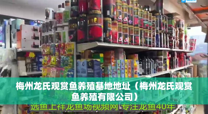 梅州龍氏觀賞魚養殖基地地址（梅州龍氏觀賞魚養殖有限公司）