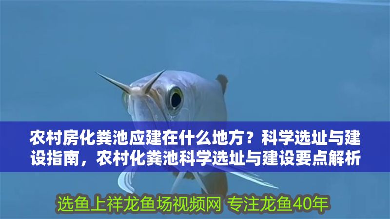 農村房化糞池應建在什么地方？科學選址與建設指南，農村化糞池科學選址與建設要點解析