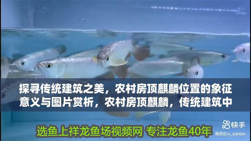 探尋傳統建筑之美，農村房頂麒麟位置的象征意義與圖片賞析，農村房頂麒麟，傳統建筑中的祥瑞象征與視覺魅力