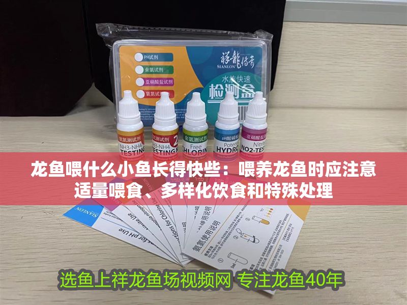 龍魚喂什么小魚長(zhǎng)得快些：喂養(yǎng)龍魚時(shí)應(yīng)注意適量喂食、多樣化飲食和特殊處理