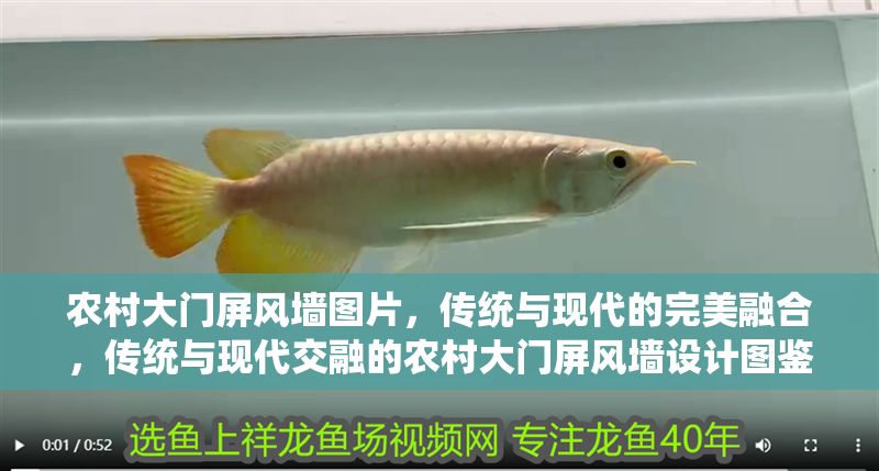 農(nóng)村大門屏風(fēng)墻圖片，傳統(tǒng)與現(xiàn)代的完美融合，傳統(tǒng)與現(xiàn)代交融的農(nóng)村大門屏風(fēng)墻設(shè)計(jì)圖鑒