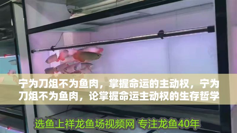 寧為刀俎不為魚肉，掌握命運的主動權，寧為刀俎不為魚肉，論掌握命運主動權的生存哲學