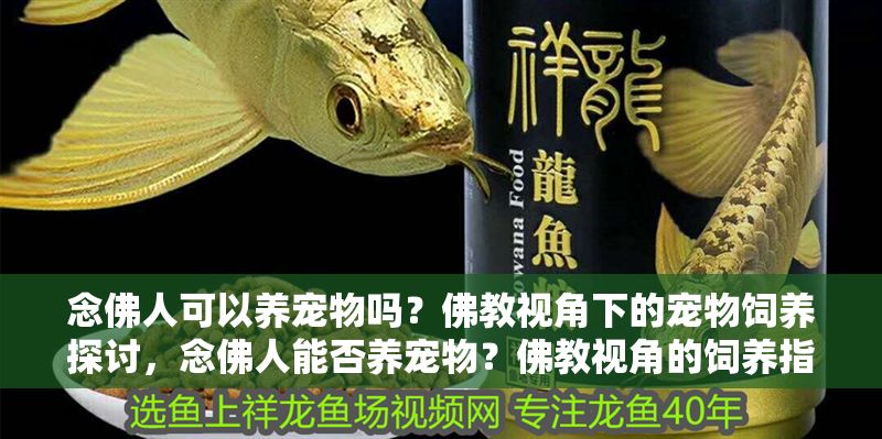 詳細閱讀:念佛人可以養寵物嗎?佛教視角下的寵物飼養探討,念佛人能否養寵物?佛教視角的飼養指南與倫理思考,念佛人養寵物的佛教倫理指南 念佛人可以養寵物嗎?佛教視角下的寵物飼養探討,念佛人能否養寵物?佛教視角的飼養指南與倫理思考,念佛人養寵物的佛教倫理指南