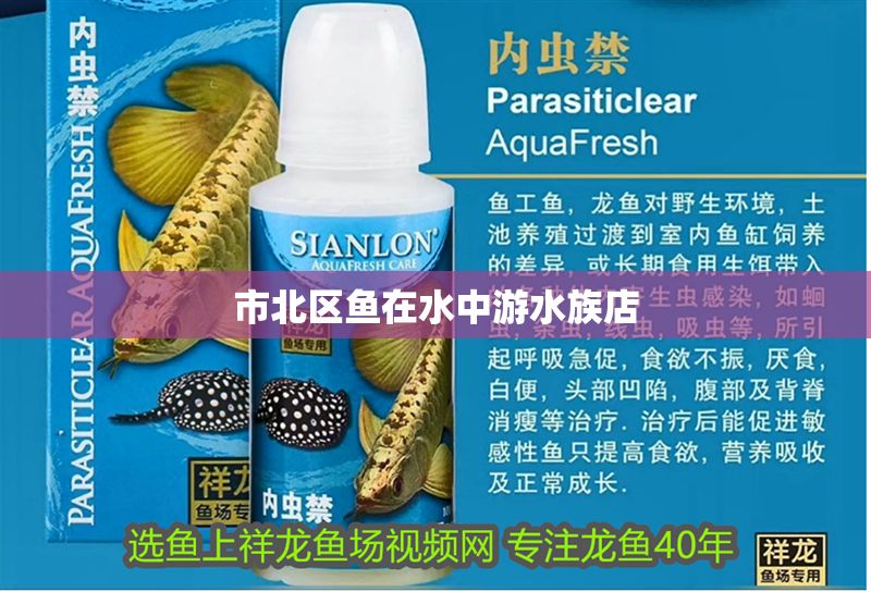 市北區魚在水中游水族店