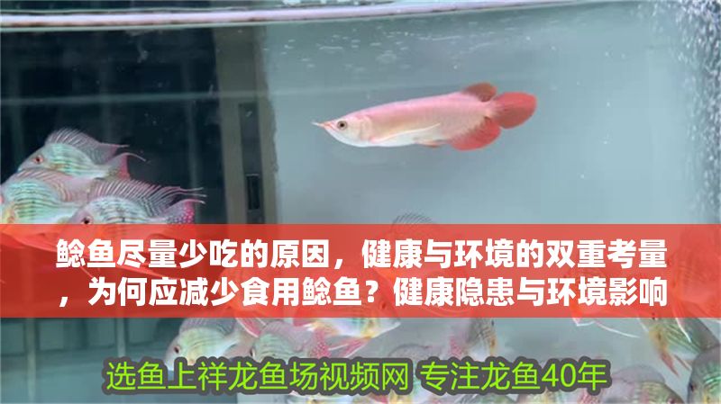 鯰魚盡量少吃的原因，健康與環境的雙重考量，為何應減少食用鯰魚？健康隱患與環境影響的深度解析，健康與環境警示，為何應減少食用鯰魚？