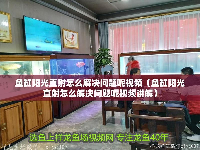 魚缸陽光直射怎么解決問題呢視頻（魚缸陽光直射怎么解決問題呢視頻講解）