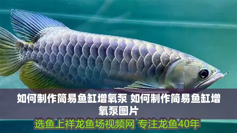 如何制作簡易魚缸增氧泵 如何制作簡易魚缸增氧泵圖片