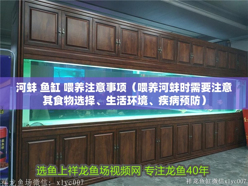 河蚌 魚缸 喂養注意事項（喂養河蚌時需要注意其食物選擇、生活環境、疾病預防）