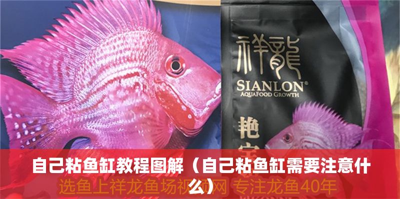 自己粘魚缸教程圖解（自己粘魚缸需要注意什么）