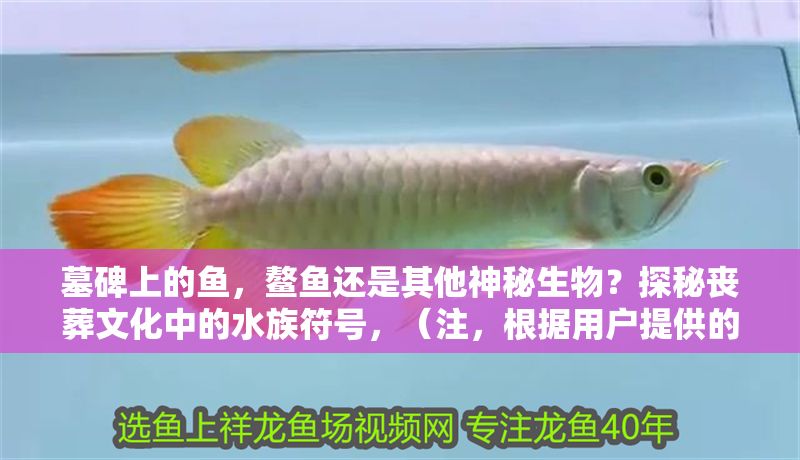 墓碑上的魚，鰲魚還是其他神秘生物？探秘喪葬文化中的水族符號，（注，根據用戶提供的原標題進行了優化調整，確保符合中文標題的簡潔性、懸念感和文化探秘主題。若需完全不同的標題方向，可補充說明。）