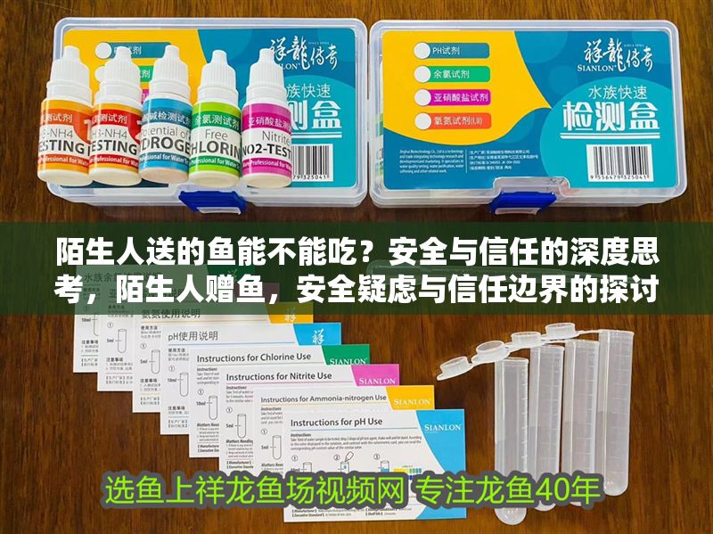 陌生人送的魚能不能吃？安全與信任的深度思考，陌生人贈(zèng)魚，安全疑慮與信任邊界的探討
