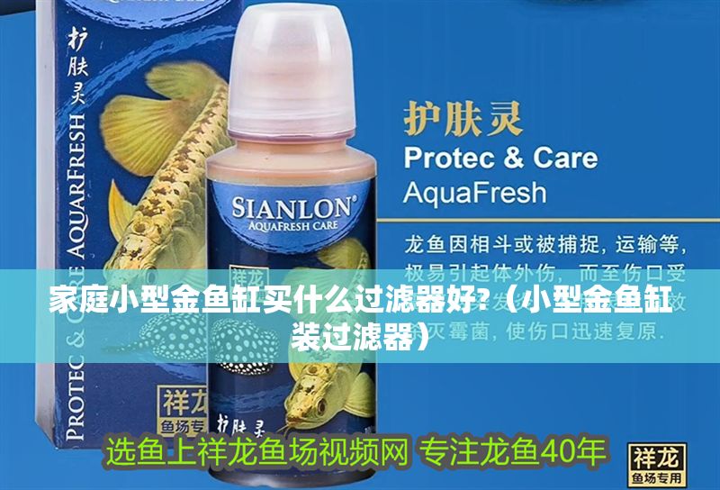 家庭小型金魚缸買什么過濾器好?（小型金魚缸裝過濾器）