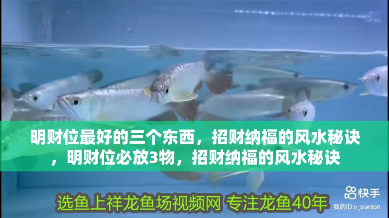 明財位最好的三個東西，招財納福的風水秘訣，明財位必放3物，招財納福的風水秘訣 明財位最好的三個東西，招財納福的風水秘訣，明財位必放3物，招財納福的風水秘訣 龍魚百科 第1張
