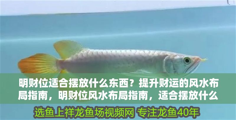 明財(cái)位適合擺放什么東西？提升財(cái)運(yùn)的風(fēng)水布局指南，明財(cái)位風(fēng)水布局指南，適合擺放什么物品提升財(cái)運(yùn)？