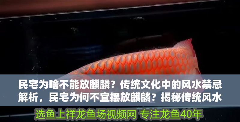 民宅為啥不能放麒麟？傳統文化中的風水禁忌解析，民宅為何不宜擺放麒麟？揭秘傳統風水中的禁忌與講究