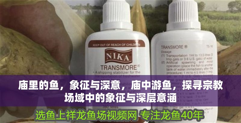 廟里的魚，象征與深意，廟中游魚，探尋宗教場域中的象征與深層意涵