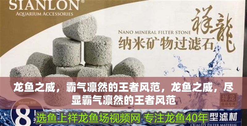 龍魚之威，霸氣凜然的王者風范，龍魚之威，盡顯霸氣凜然的王者風范