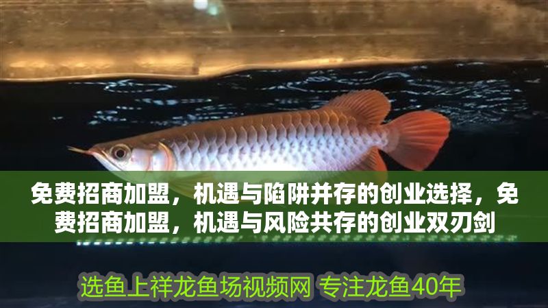 免費招商加盟，機遇與陷阱并存的創業選擇，免費招商加盟，機遇與風險共存的創業雙刃劍