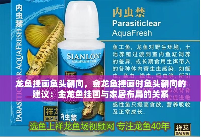 龍魚掛畫魚頭朝向，金龍魚掛畫時魚頭朝向的建議：金龍魚掛畫與家居布局的關系
