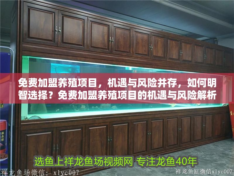 免費加盟養殖項目，機遇與風險并存，如何明智選擇？免費加盟養殖項目的機遇與風險解析，如何做出明智選擇？