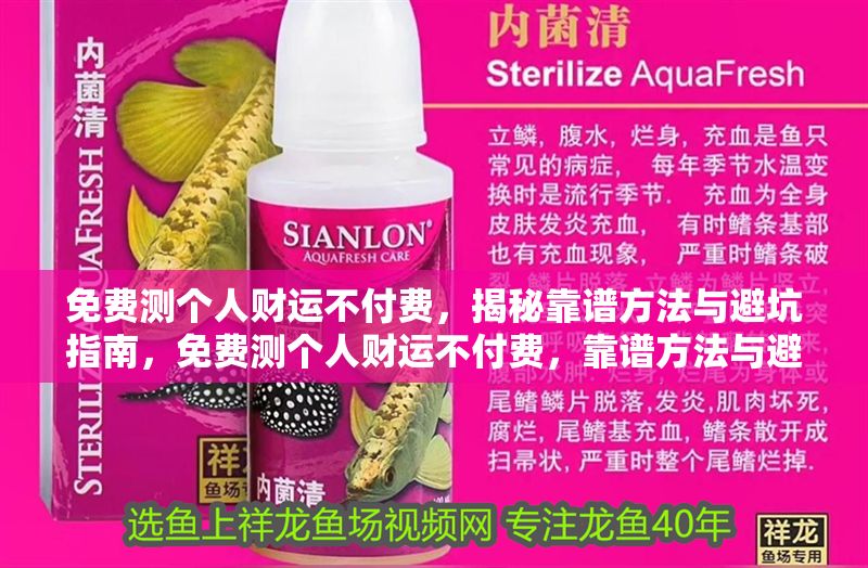免費測個人財運不付費，揭秘靠譜方法與避坑指南，免費測個人財運不付費，靠譜方法與避坑指南全揭秘