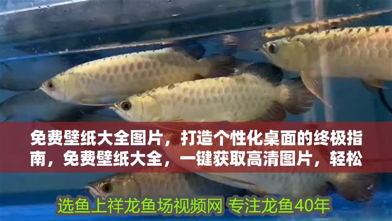 免費壁紙大全圖片，打造個性化桌面的終極指南，免費壁紙大全，一鍵獲取高清圖片，輕松打造個性化桌面