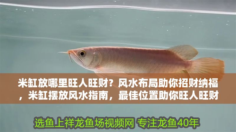 米缸放哪里旺人旺財？風(fēng)水布局助你招財納福，米缸擺放風(fēng)水指南，最佳位置助你旺人旺財