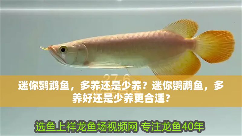 馬來西亞最好咖啡品牌(馬來西亞最有名的咖啡品牌)