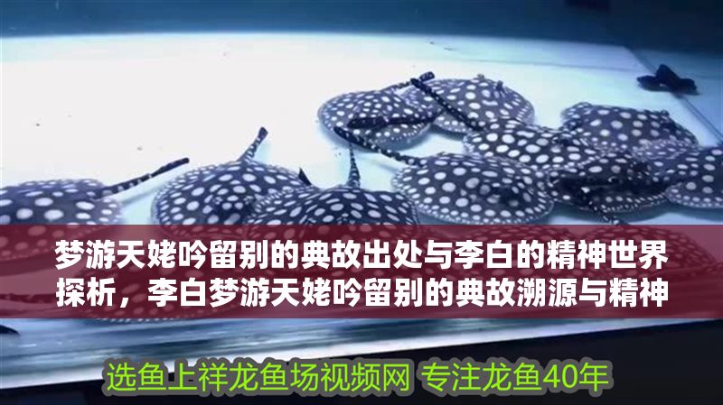 夢游天姥吟留別的典故出處與李白的精神世界探析，李白夢游天姥吟留別的典故溯源與精神境界解讀