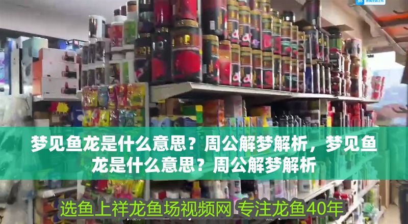 夢見魚龍是什么意思？周公解夢解析，夢見魚龍是什么意思？周公解夢解析