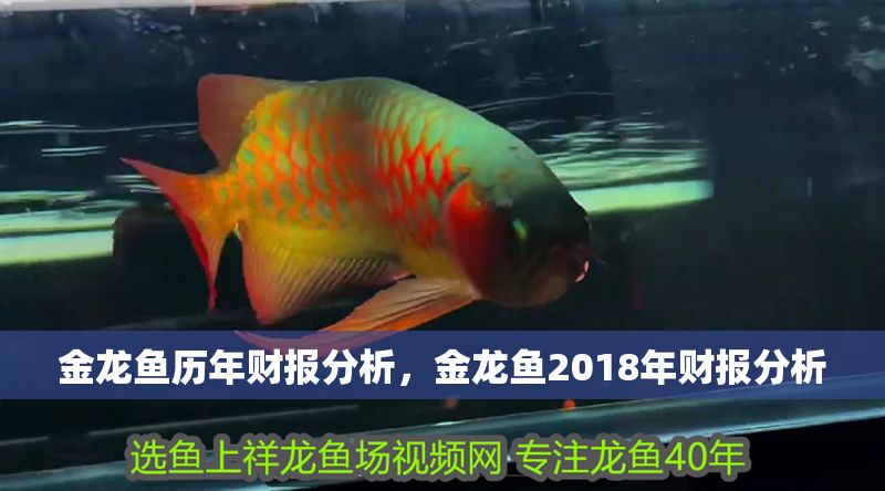 金龍魚歷年財(cái)報(bào)分析，金龍魚2018年財(cái)報(bào)分析