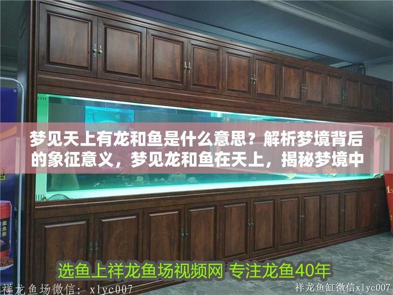 夢見天上有龍和魚是什么意思？解析夢境背后的象征意義，夢見龍和魚在天上，揭秘夢境中的吉祥象征與深層寓意