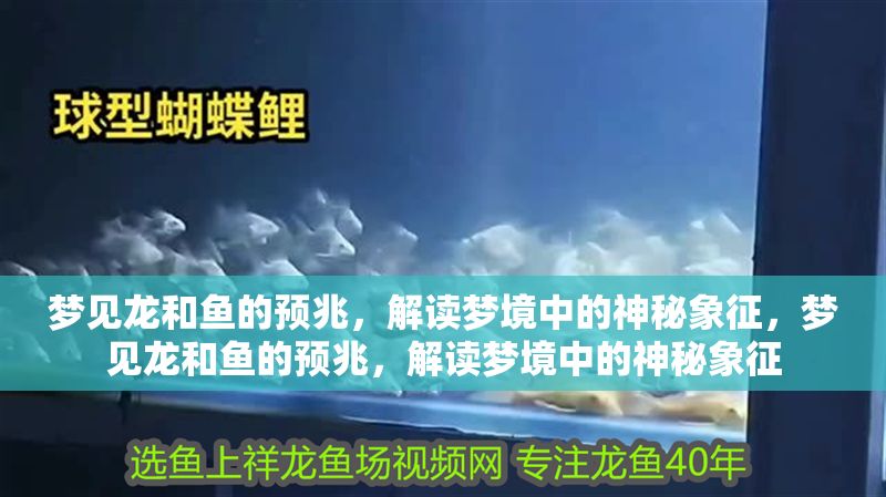 夢見龍和魚的預兆，解讀夢境中的神秘象征，夢見龍和魚的預兆，解讀夢境中的神秘象征