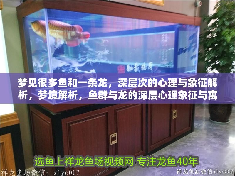 夢見很多魚和一條龍，深層次的心理與象征解析，夢境解析，魚群與龍的深層心理象征與寓意