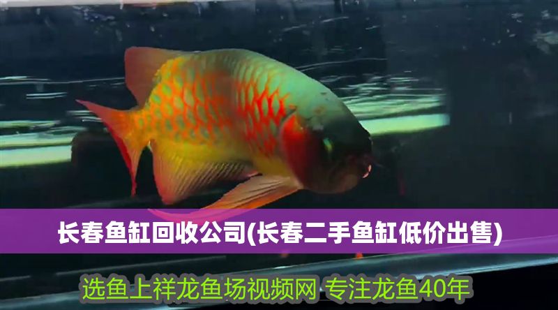長春魚缸回收公司(長春二手魚缸低價出售)