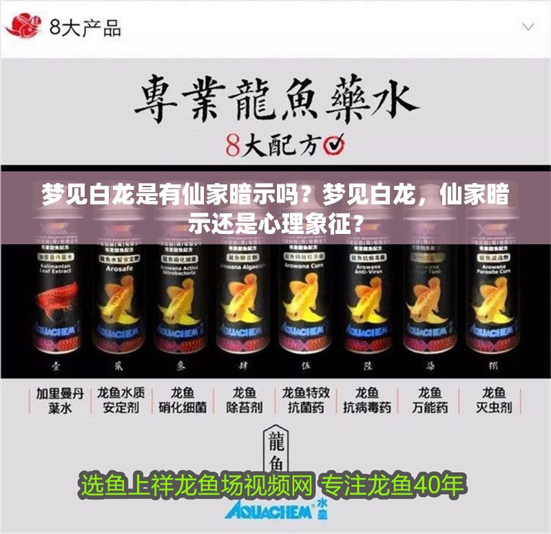 夢見白龍是有仙家暗示嗎？夢見白龍，仙家暗示還是心理象征？