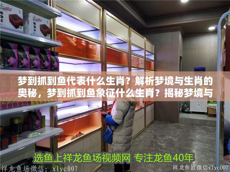 夢到抓到魚代表什么生肖？解析夢境與生肖的奧秘，夢到抓到魚象征什么生肖？揭秘夢境與生肖的關(guān)聯(lián)