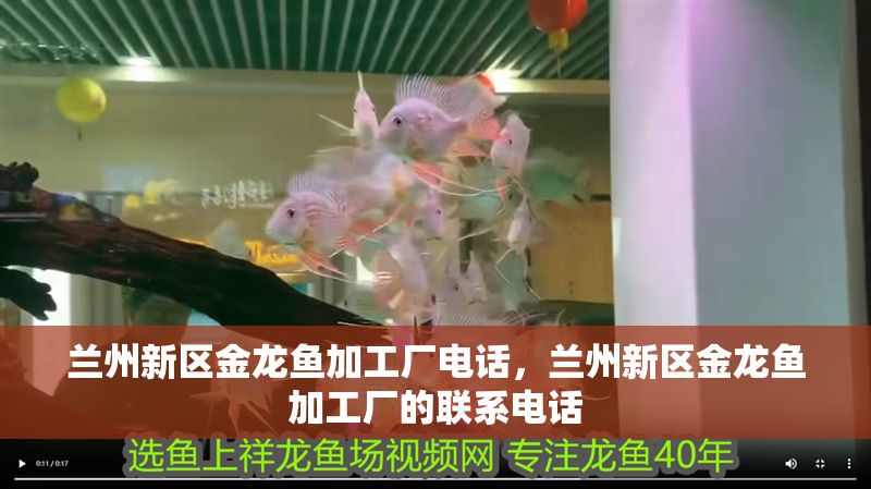 蘭州新區(qū)金龍魚加工廠電話，蘭州新區(qū)金龍魚加工廠的聯(lián)系電話