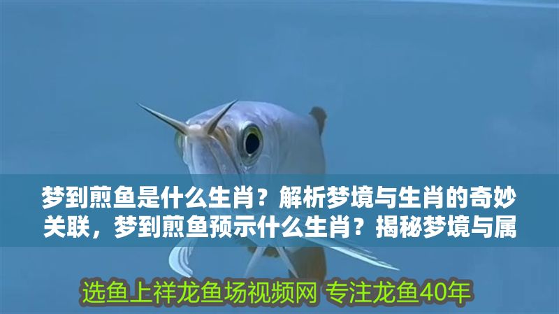 夢到煎魚是什么生肖？解析夢境與生肖的奇妙關(guān)聯(lián)，夢到煎魚預(yù)示什么生肖？揭秘夢境與屬相的玄妙聯(lián)系
