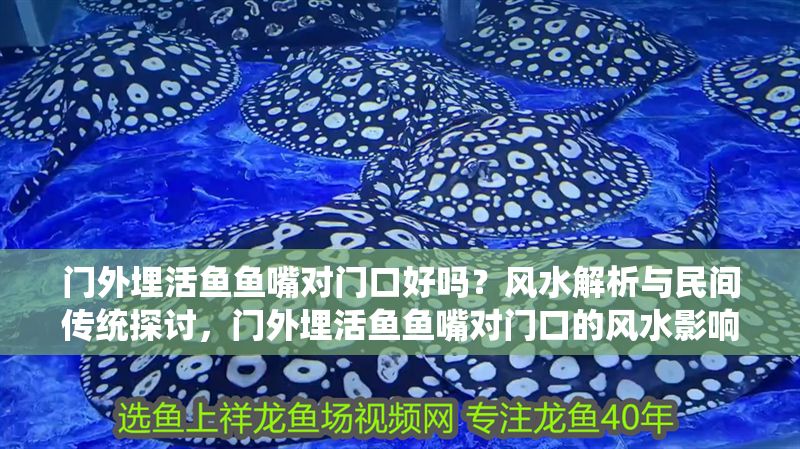 門外埋活魚魚嘴對門口好嗎？風水解析與民間傳統探討，門外埋活魚魚嘴對門口的風水影響與民間習俗解析