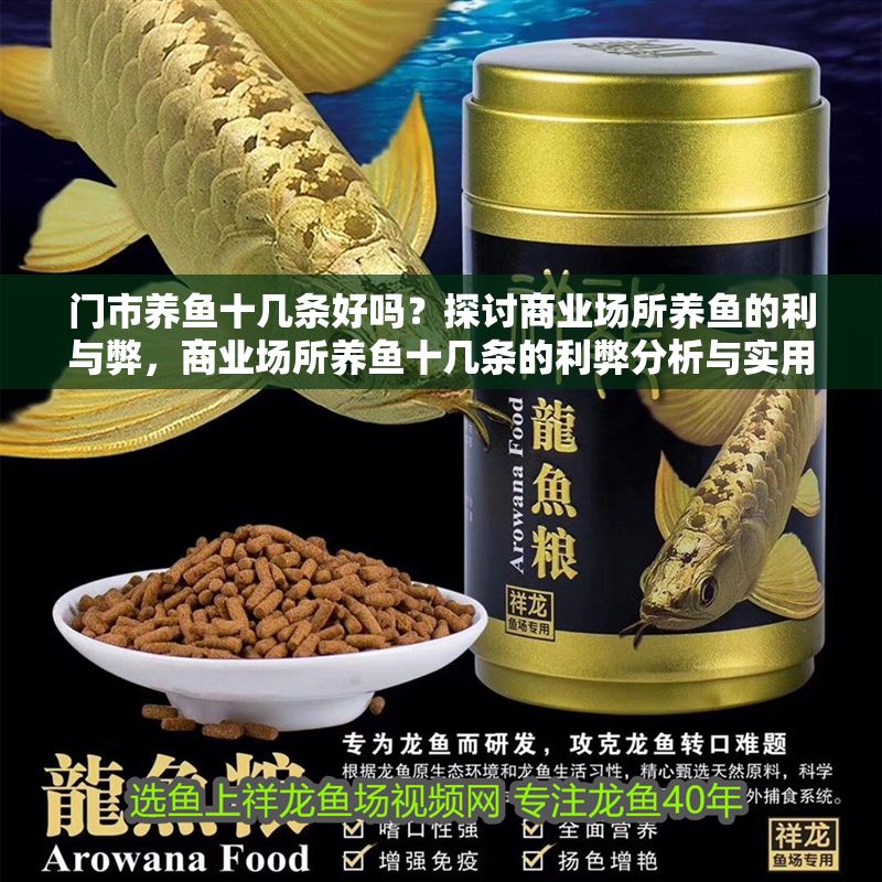 門市養(yǎng)魚十幾條好嗎？探討商業(yè)場所養(yǎng)魚的利與弊，商業(yè)場所養(yǎng)魚十幾條的利弊分析與實用建議