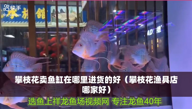 攀枝花賣魚缸在哪里進貨的好（攀枝花漁具店哪家好）