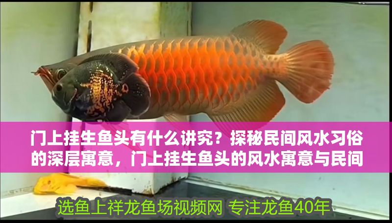 門上掛生魚頭有什么講究？探秘民間風(fēng)水習(xí)俗的深層寓意，門上掛生魚頭的風(fēng)水寓意與民間習(xí)俗解析