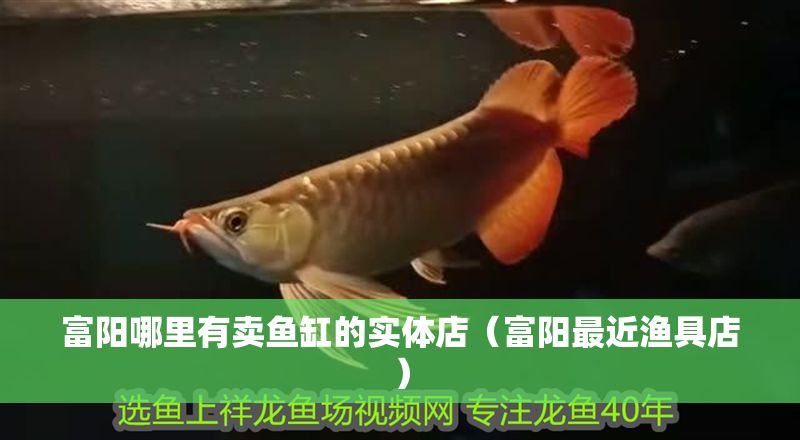 富陽哪里有賣魚缸的實體店（富陽最近漁具店）