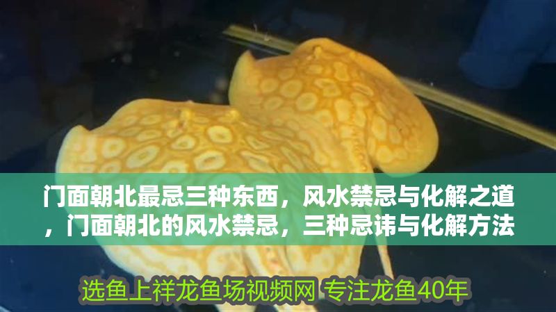 門面朝北最忌三種東西，風水禁忌與化解之道，門面朝北的風水禁忌，三種忌諱與化解方法