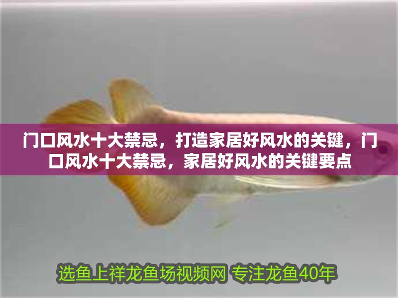 門口風水十大禁忌，打造家居好風水的關鍵，門口風水十大禁忌，家居好風水的關鍵要點