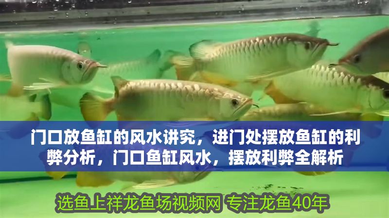 門口放魚缸的風(fēng)水講究，進(jìn)門處擺放魚缸的利弊分析，門口魚缸風(fēng)水，擺放利弊全解析